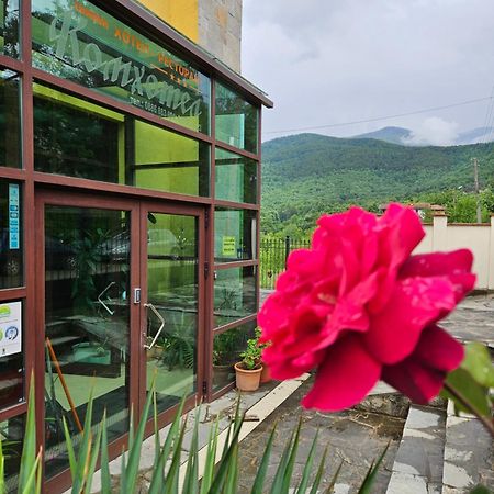 Family Hotel Komhotel Berkovitsa Luaran gambar