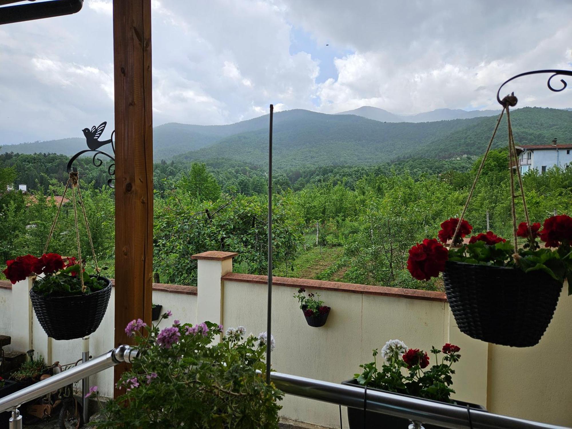 Family Hotel Komhotel Berkovitsa Luaran gambar