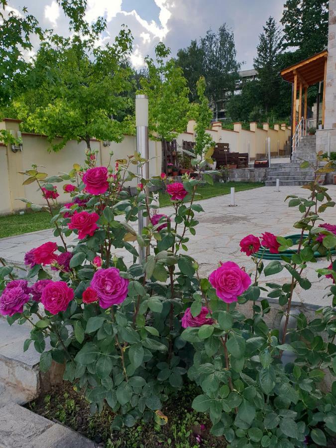 Family Hotel Komhotel Berkovitsa Luaran gambar
